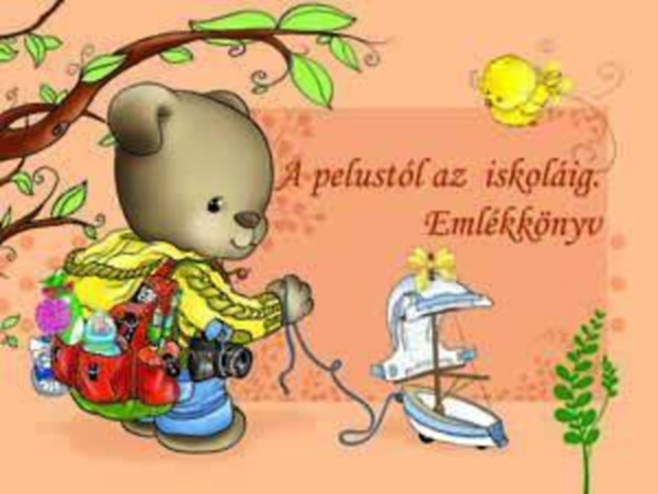 A pelustól az iskoláig - Emlékkönyv